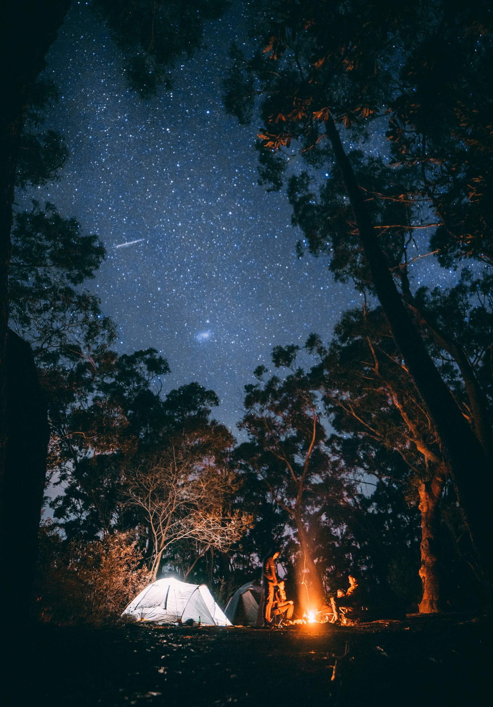 Illustrative Riverbug Padas experience photography