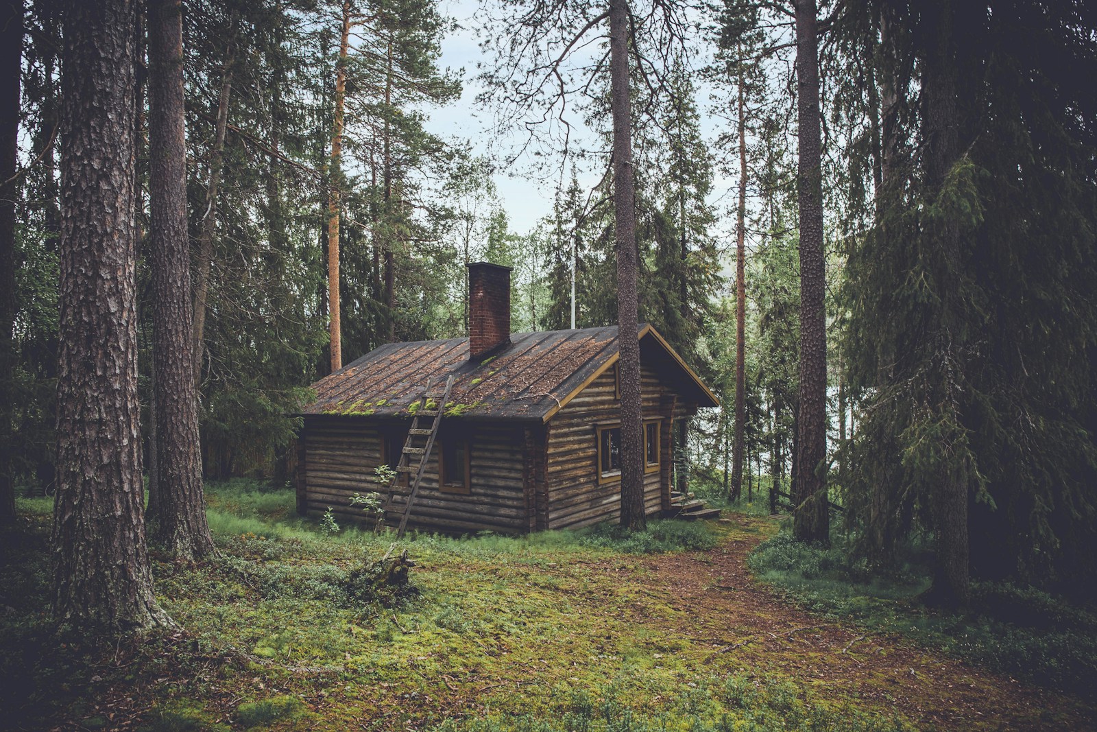 Illustrative accommodation photography for Skylodge.my